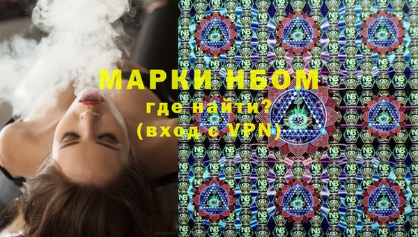 ECSTASY Кедровый