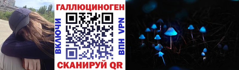 Псилоцибиновые грибы Psilocybe  blacksprut tor  Усть-Джегута 