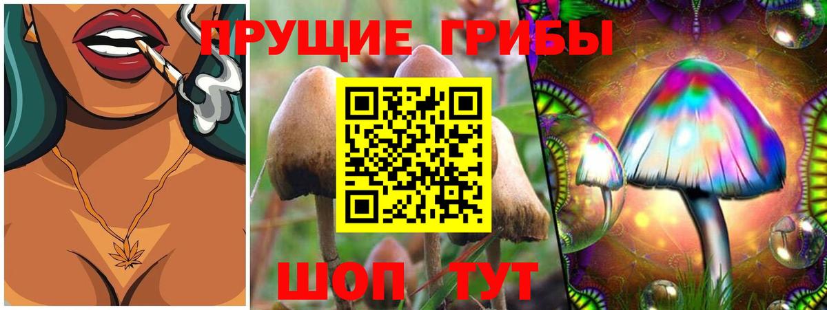 Галлюциногенные грибы MAGIC MUSHROOMS  Вход с VPN  Усть-Джегута 